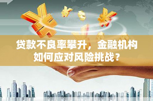 东昌府贷款不良率攀升，金融机构如何应对风险挑战？
