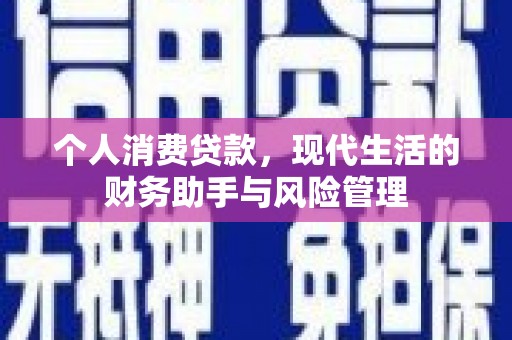 东昌府个人消费贷款，现代生活的财务助手与风险管理
