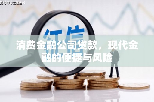 东昌府消费金融公司贷款，现代金融的便捷与风险