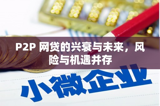 东昌府P2P 网贷的兴衰与未来，风险与机遇并存