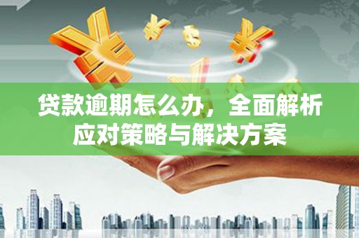 东昌府贷款逾期怎么办，全面解析应对策略与解决方案