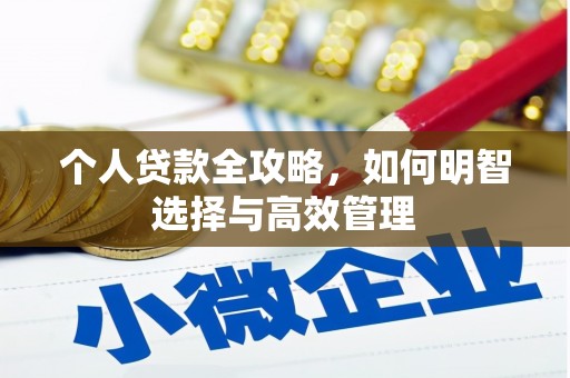东昌府个人贷款全攻略，如何明智选择与高效管理