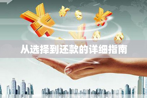 东昌府从选择到还款的详细指南