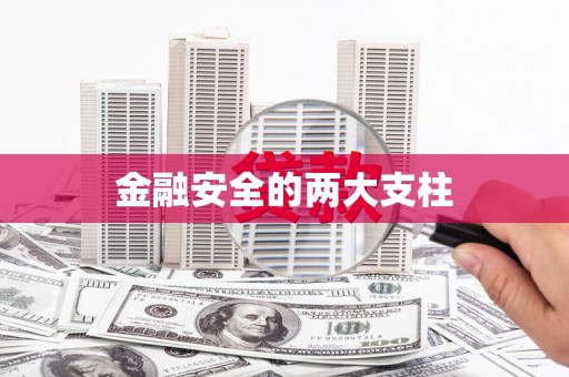 东昌府金融安全的两大支柱