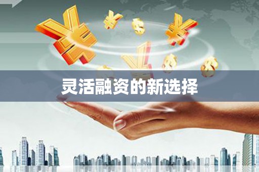 东昌府灵活融资的新选择