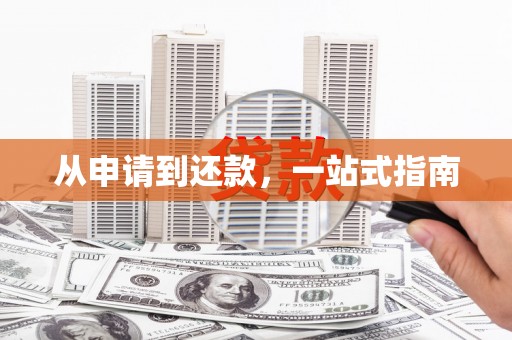 东昌府从申请到还款，一站式指南