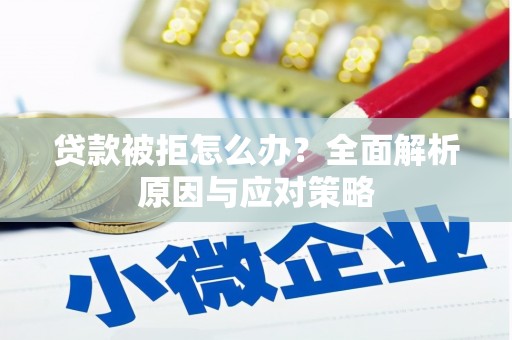 东昌府贷款被拒怎么办？全面解析原因与应对策略