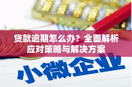 东昌府贷款逾期怎么办？全面解析应对策略与解决方案