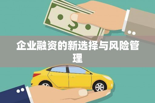 东昌府企业融资的新选择与风险管理