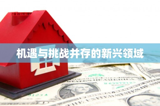 东昌府机遇与挑战并存的新兴领域