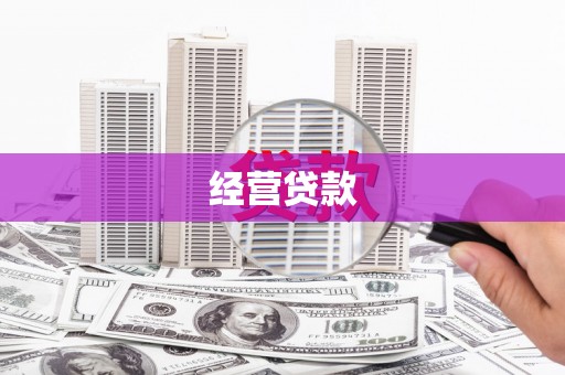 东昌府经营贷款