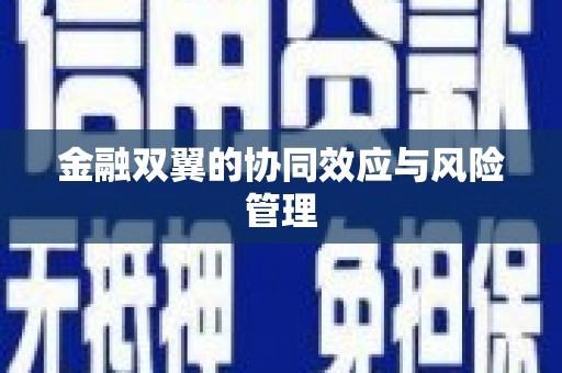 东昌府金融双翼的协同效应与风险管理